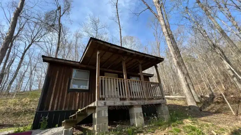 Daisy Cabin