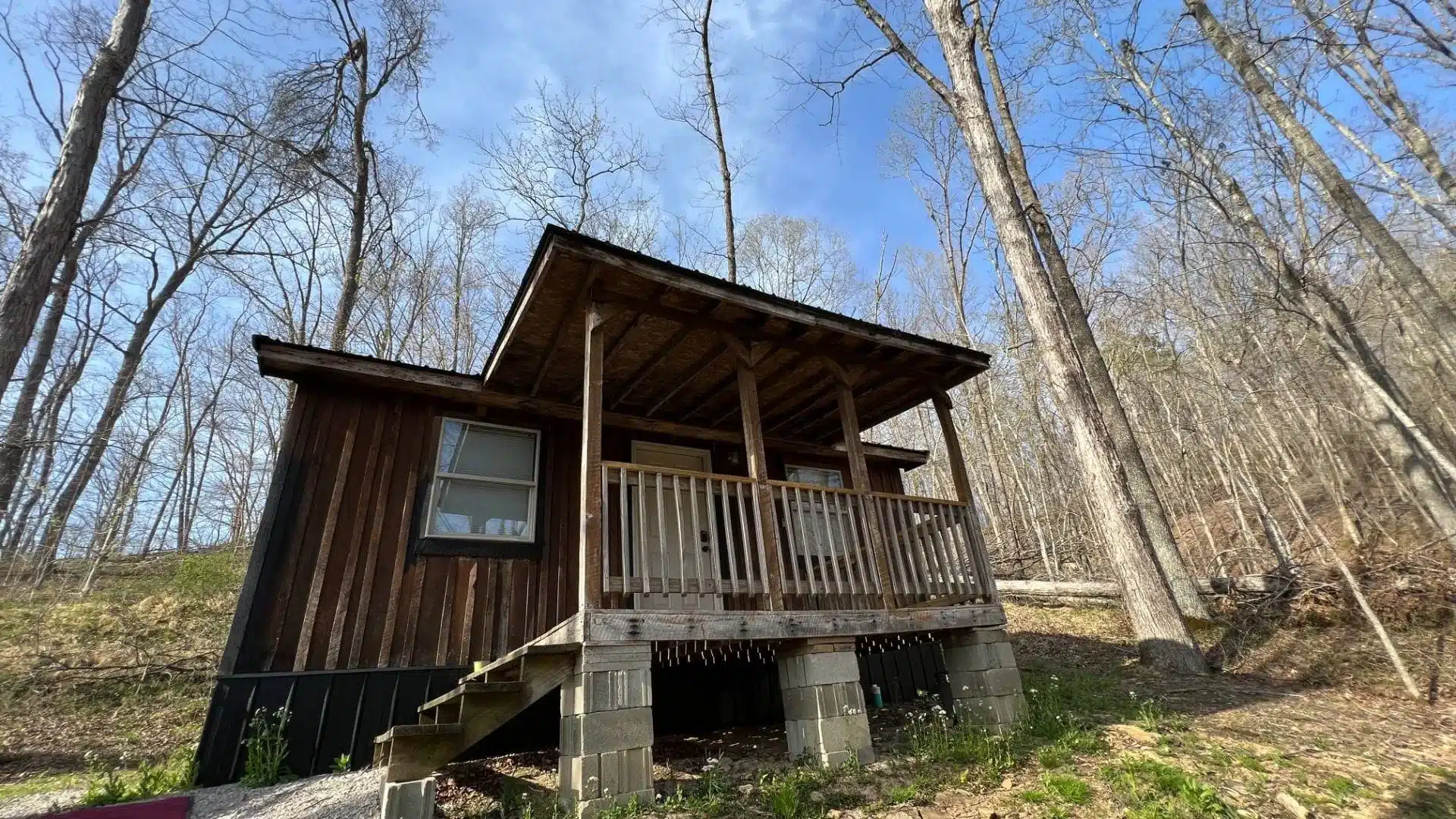 Daisy Cabin