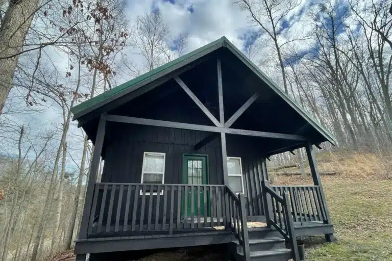 Sunny Cabin