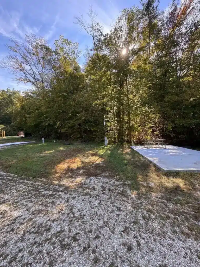 cabins near grayson lake ky​